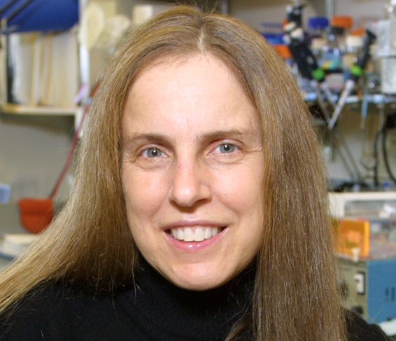 Pamela A. Silver, PhD