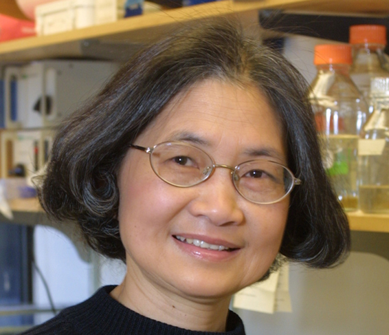 Shu-Ching Huang, PhD