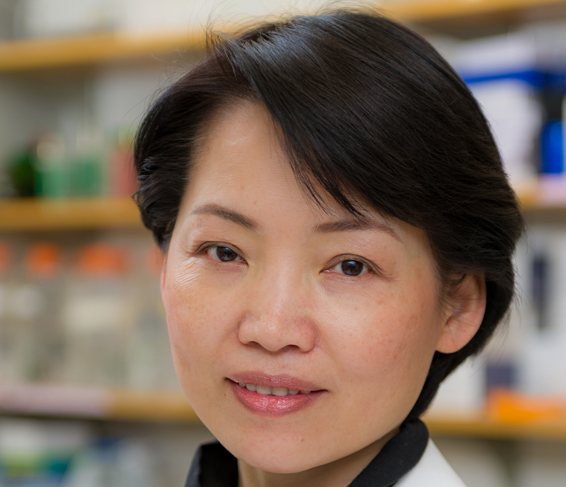 Jean Zhao, PhD