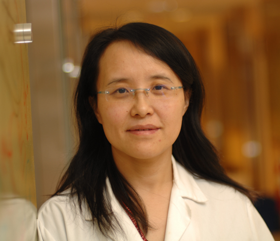 Lili Wang, MD, PhD