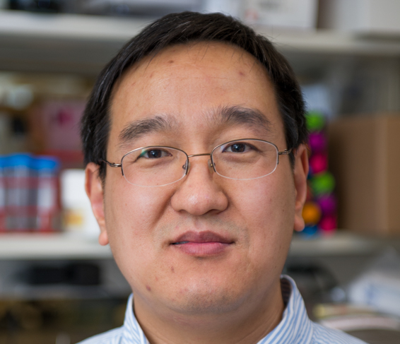 Baochun Zhang, MD, PhD