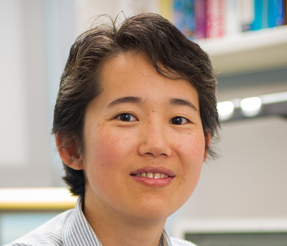 Xiaole Shirley Liu, PhD
